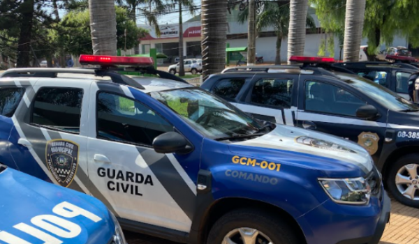 GCM encontra pistola escondida em carro na BR-060