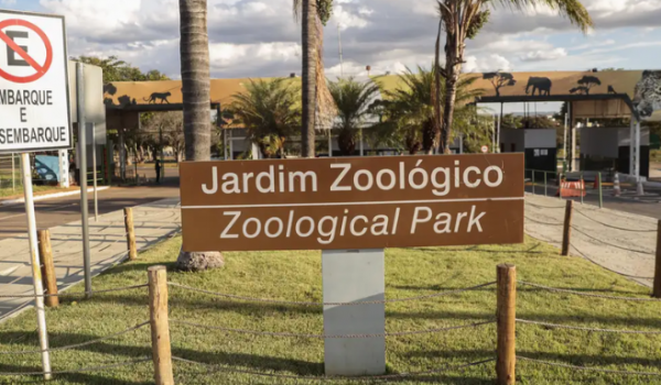 Zoológico de Brasília é fechado temporariamente após morte suspeita de aves