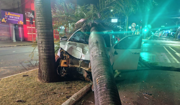 Caminhonete atinge coqueiro e árvore é arrancada após acidente na Avenida Presidente Vargas, em Rio Verde