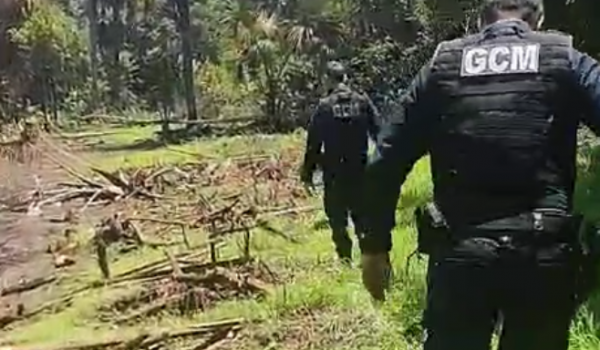 Ossada humana é encontrada em propriedade rural entre Rio Verde e Jataí