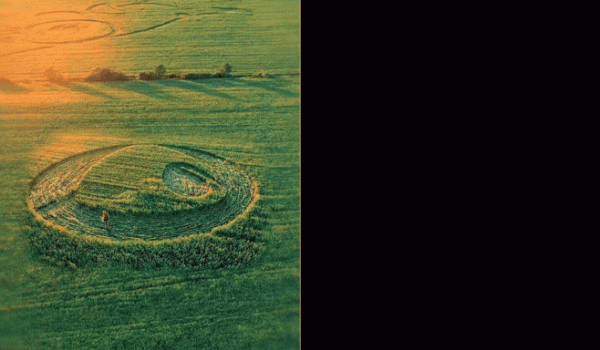 Marca misteriosa em plantação da zona rural de Rio Verde chama atenção