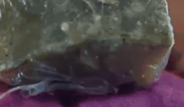 Drogas escondidas em ursinho de pelúcia são apreendidas pela Força Tática em Rio Verde