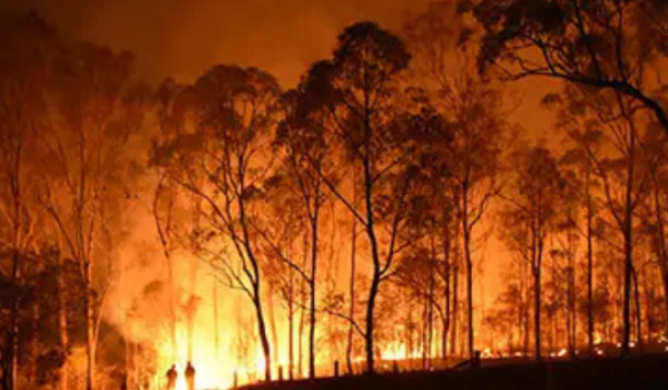 Secretaria Estadual de Meio Ambiente define regras para incêndios criminosos em Goiás