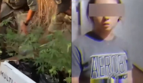 Casal norte-americano é preso por cultivar maconha em Caldas Novas 