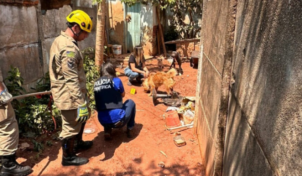 Maus-tratos: tutor se muda para o Maranhão e deixa animais três dias presos sem água e comida 