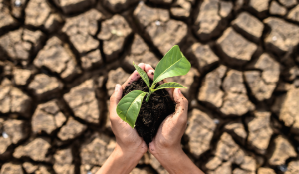 MUDANÇAS CLIMÁTICAS PODEM AUMENTAR O PREÇO DOS ALIMENTOS NO BRASIL