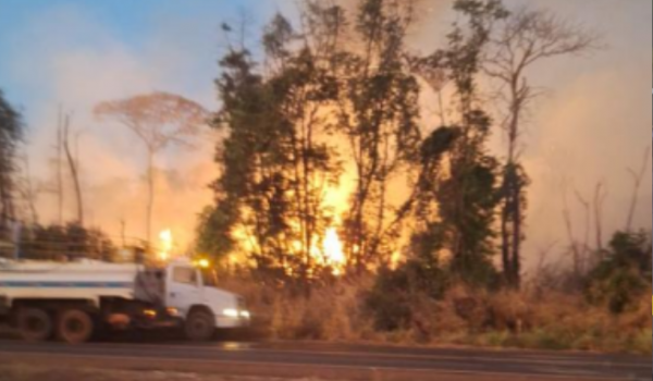 PM prende suspeito de atear fogo em reservas florestais de Rio Verde; Incêndio atingiu 200 hectares 