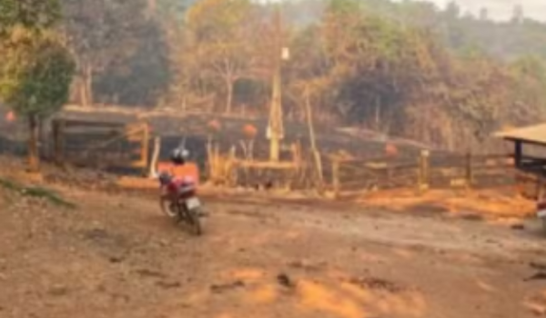 Produtora rural goiana morre carbonizada enquanto tentava apagar incêndio em pasto