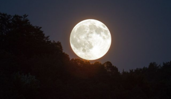 Última Superlua do ano pode ser vista na noite desta sexta-feira (15)