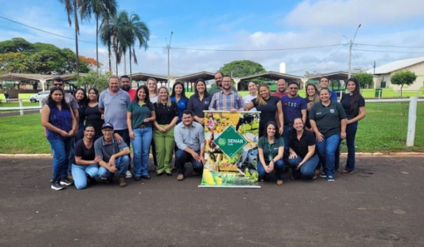 Treinamento em suinocultura tecnificado em produção de leitões é lançado em Rio Verde