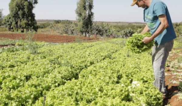 Comissão da Agricultura aprova projeto de recuperação de crédito para pequenos agricultores