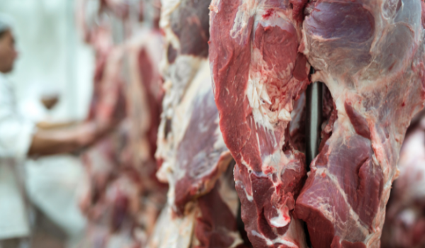 EUA e México importam maiores volumes mensais de carne bovina brasileira da história em abril