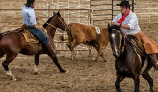 Ranch Sorting agita a Expo Rio Verde nesta quarta com emoção, tradição e espírito esportivo