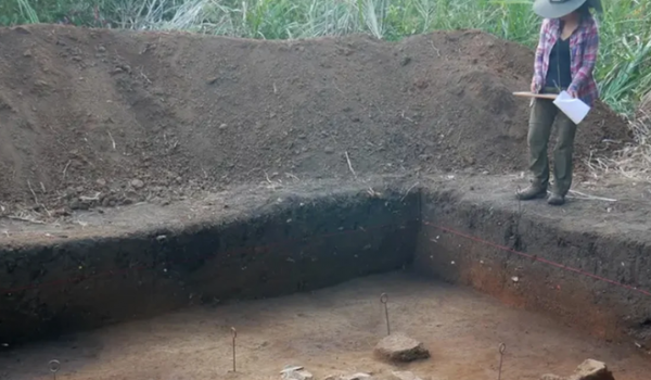 Tecnologia revela civilizações antigas ocultas na Amazônia boliviana