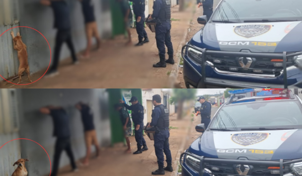 Cena curiosa em Rio Verde de caramelo imitando suspeitos em abordagem é real?