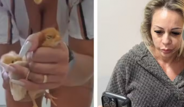 Suspeita de torturar e matar animais esmagando-os para vender vídeos na internet é solta horas após ser presa