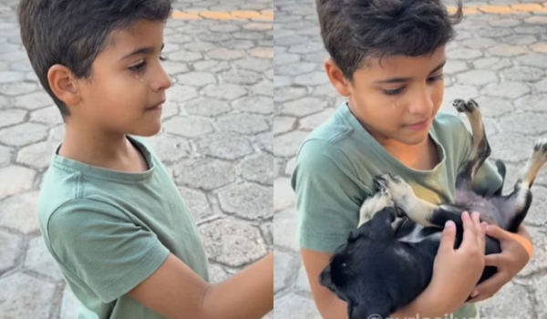 Menino convence mãe a adotar cachorrinha que ninguém quis em feira