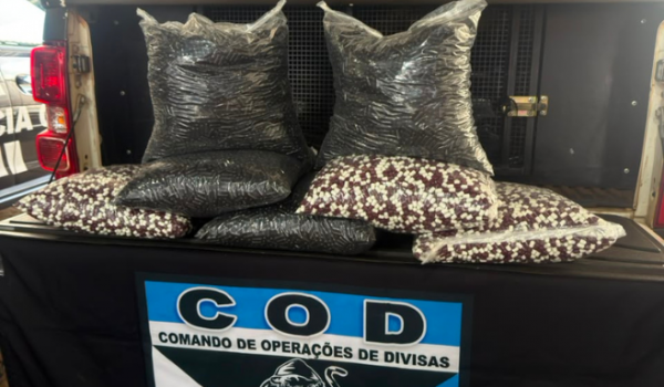 COD apreende 35 mil cápsulas de medicamentos sem identificação em Rio Verde