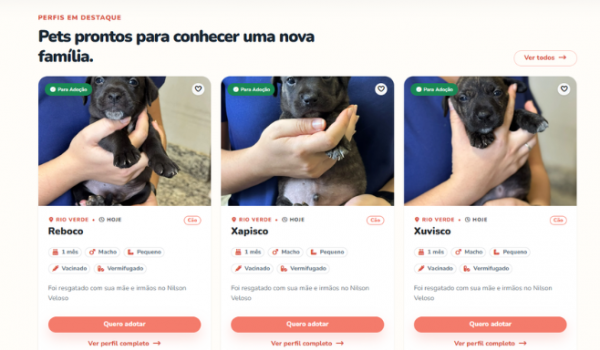 Prefeitura lança plataforma para adoção de cães e gatos resgatados de maus-tratos em Rio Verde