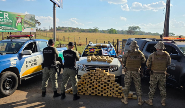 Operação intercepta 130 kg de skunk na GO-060 e prende dois suspeitos