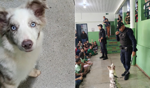 GOC realiza apresentação com cão policial para alunos da Escola Alfredo Nasser