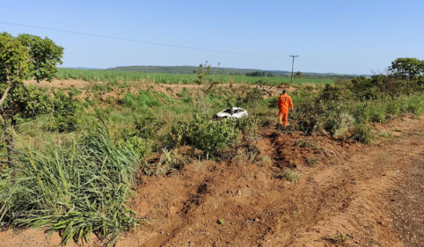 Motorista morre após carro atingir anta e capotar na GO-341, em Mineiros