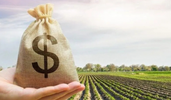 Crédito mais caro no Plano Safra pode agravar crise financeira do agronegócio