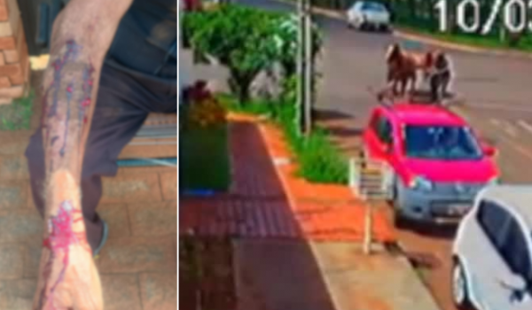 Policial de folga intervém durante ataque de pitbull e ajuda a socorrer idoso em Rio Verde