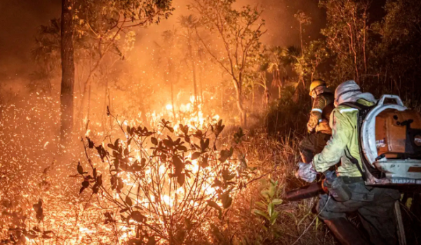 Corpo de Bombeiros enfrentou grandes desafios em 2024 e já se prepara para período de queimadas em 2025