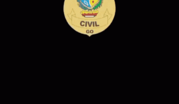 Polícia Civil prende 12 pessoas na Operação Espectro contra o tráfico de drogas em São Simão