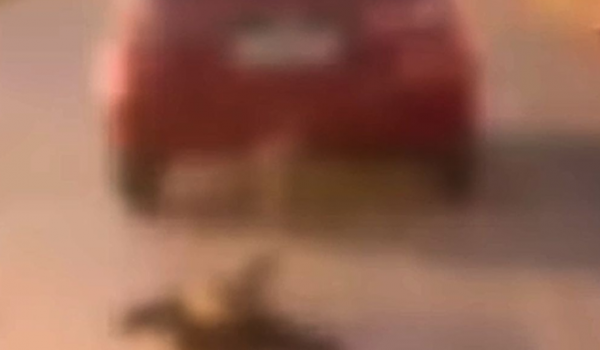 Motorista é filmado arrastando cachorro amarrado no carro em Goianira