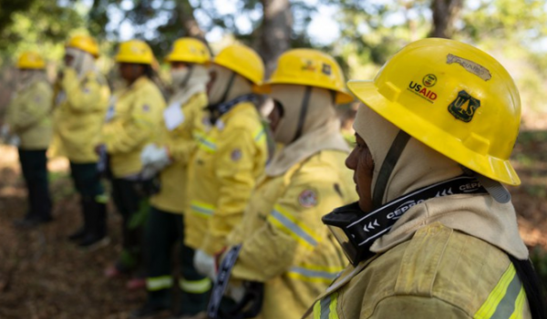 Decreto de Trump suspende programa de combate a incêndios florestais no Brasil financiado pela USAID