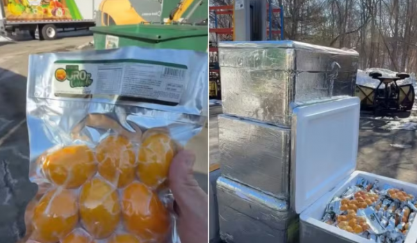 Goiano faz sucesso nos Estados Unidos vendendo pequi