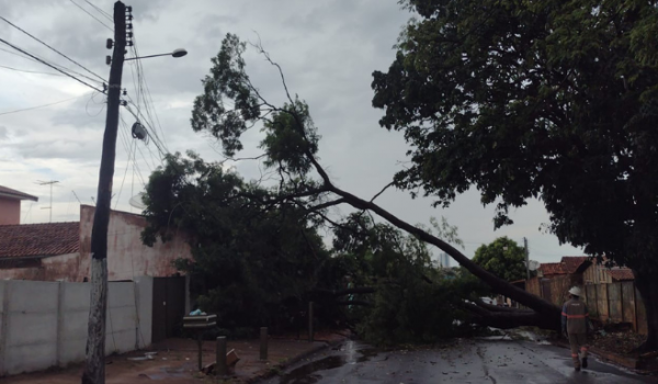 Segurança em dias de chuva: dicas para evitar acidentes elétricos