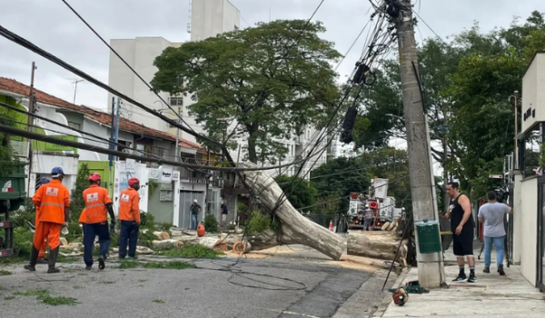 Chuvas e ventos fortes: Tempestades reforçam necessidade de modernização da rede elétrica