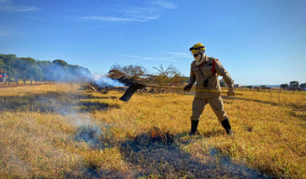 Goiás tem um aumento de 152% em focos de incêndios no mês de agosto