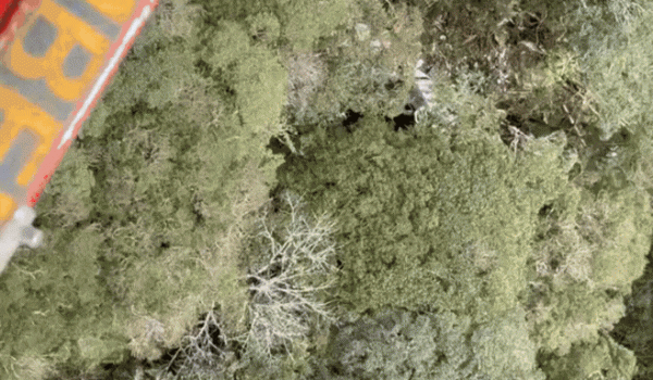 Vídeo mostra local onde helicóptero com cantor Rick foi encontrado em meio à mata; não há sobreviventes