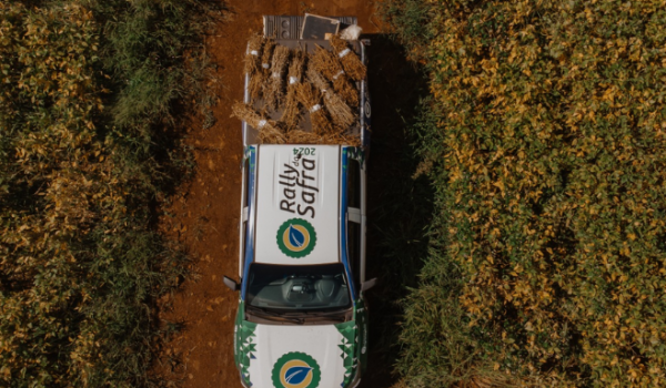 Evento técnico do Rally da Safra em Rio Verde destacará condições da safra brasileira e mercado de grãos