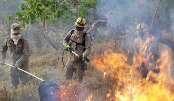 Goiás tem queda nos focos de incêndios em 2025 segundo o Corpo de Bombeiros