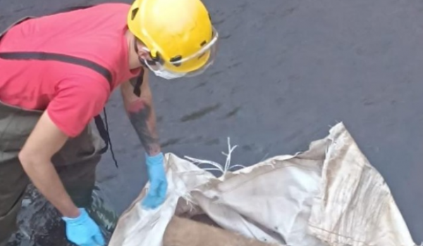 Suspeita de corpo humano em córrego mobiliza bombeiros e policiais em Jataí