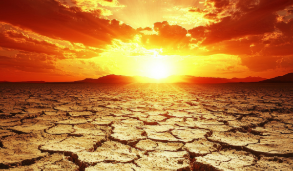 2025: UM MARCO CLIMÁTICO QUE EXIGE AÇÃO IMEDIATA