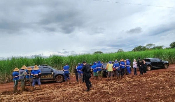 Em Goiás mais de 212 trabalhadores em condições análogas à escravidão são resgatados 