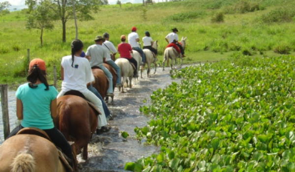 TURISMO RURAL: UMA OPORTUNIDADE PARA PRODUTORES RURAIS E AGRICULTORES FAMILIARES