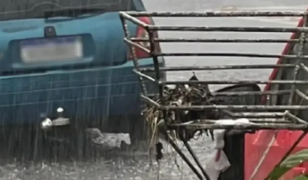 Vídeo mostra menina de 13 anos presa pelos cabelos sendo resgatada durante temporal em Goiânia