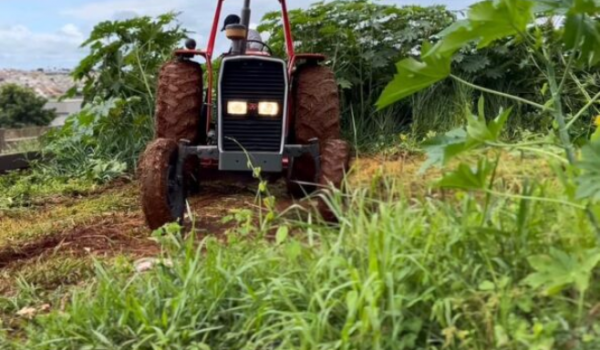 Veja como denunciar lotes baldios que podem causar riscos à saúde em Rio Verde
