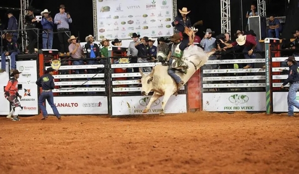 Conheça os campeões do rodeio em touros e de cavalos da Expo Rio Verde
