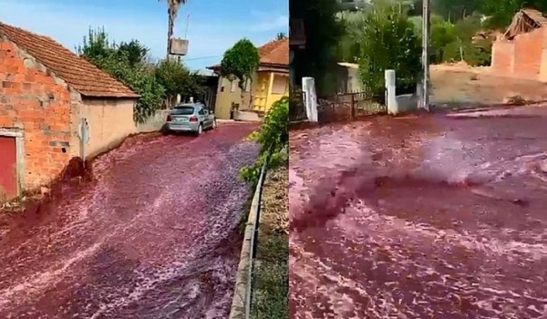  'Enchente de vinho' inunda ruas em Portugal após ruptura de depósito