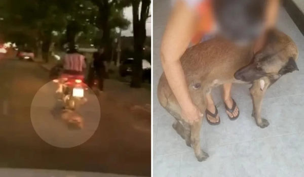 Sem perceber, cachorro é arrastado ao ter coleira presa em moto