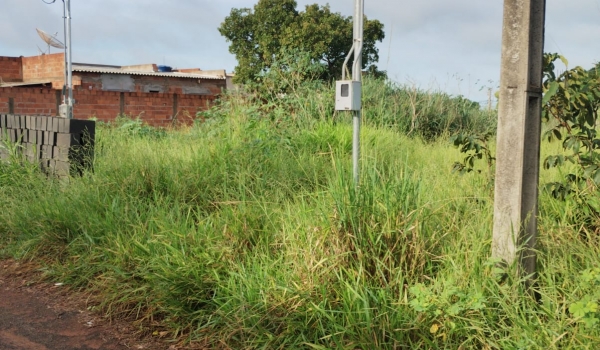 Coluna Thais Cabral: BAIRRO JARDIM FLORESTA ESTÁ SENDO ESQUECIDO 