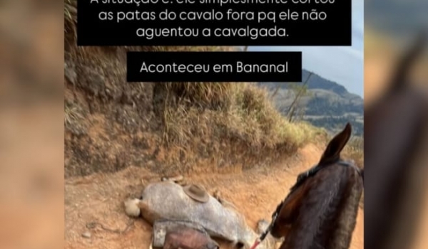 Homem corta patas de cavalo e é preso após denúncia de Ana Castela